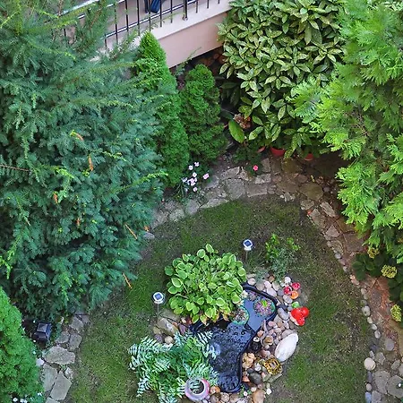 Pensión Family Daf Obzor