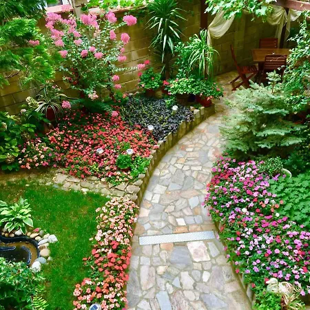 Family Daf Pensión Obzor